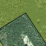Individal Compartment Map of the Davy Crockett National Forest v41 Preview 2