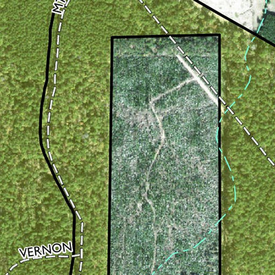 Individal Compartment Map of the Davy Crockett National Forest v41 Preview 3