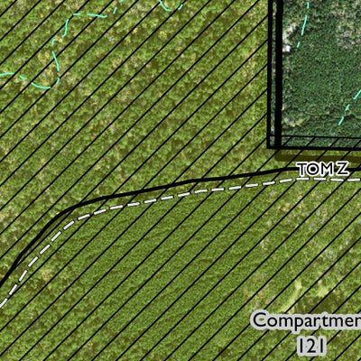 Individal Compartment Map of the Davy Crockett National Forest v23 Preview 2