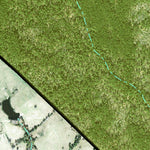 Individal Compartment Map of the Davy Crockett National Forest v80 Preview 2