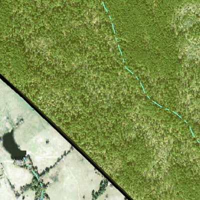 Individal Compartment Map of the Davy Crockett National Forest v80 Preview 2