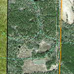 Individal Compartment Map of the Davy Crockett National Forest v80 Preview 3