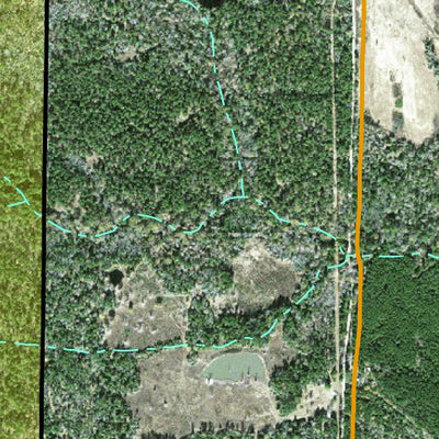 Individal Compartment Map of the Davy Crockett National Forest v80 Preview 3