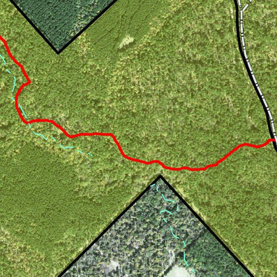 Individal Compartment Map of the Davy Crockett National Forest v28 Preview 3