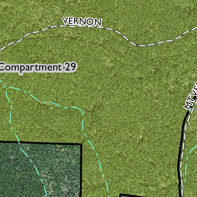 Individal Compartment Map of the Davy Crockett National Forest v43 Preview 2