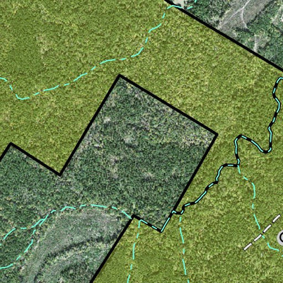 Individal Compartment Map of the Davy Crockett National Forest v43 Preview 3