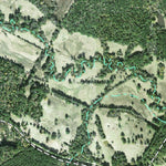 Individal Compartment Map of the Davy Crockett National Forest v49 Preview 2
