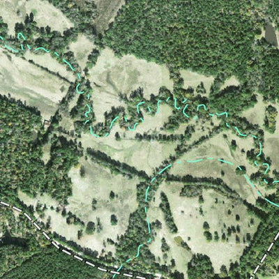 Individal Compartment Map of the Davy Crockett National Forest v49 Preview 2