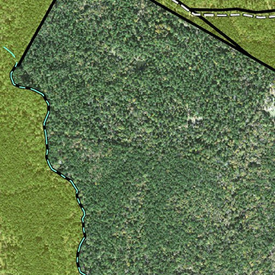 Individal Compartment Map of the Davy Crockett National Forest v49 Preview 3