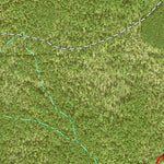 Individal Compartment Map of the Davy Crockett National Forest v47 Preview 2