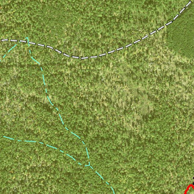 Individal Compartment Map of the Davy Crockett National Forest v47 Preview 2
