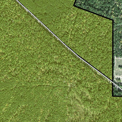 Individal Compartment Map of the Davy Crockett National Forest v47 Preview 3