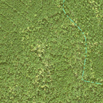 Individal Compartment Map of the Davy Crockett National Forest v76 Preview 2