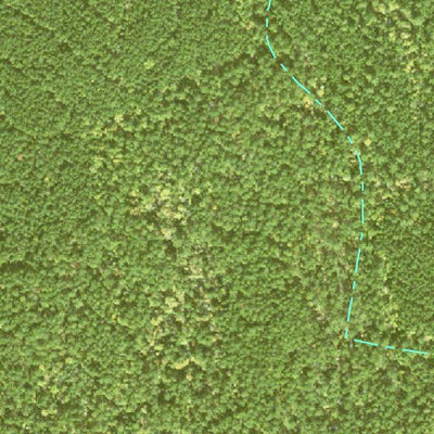 Individal Compartment Map of the Davy Crockett National Forest v76 Preview 2