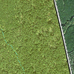 Individal Compartment Map of the Davy Crockett National Forest v76 Preview 3