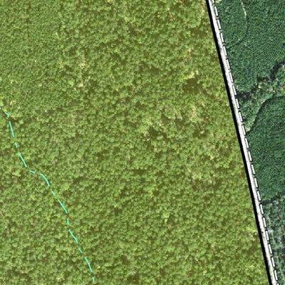 Individal Compartment Map of the Davy Crockett National Forest v76 Preview 3