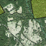 Individal Compartment Map of the Davy Crockett National Forest v50 Preview 3
