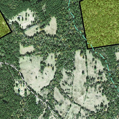 Individal Compartment Map of the Davy Crockett National Forest v50 Preview 3