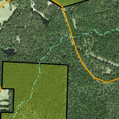 Individal Compartment Map of the Davy Crockett National Forest v62 Preview 2