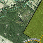 Individal Compartment Map of the Davy Crockett National Forest v62 Preview 3