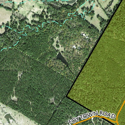 Individal Compartment Map of the Davy Crockett National Forest v62 Preview 3