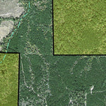 Individal Compartment Map of the Davy Crockett National Forest v45 Preview 2