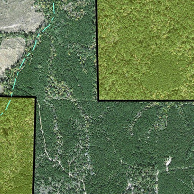 Individal Compartment Map of the Davy Crockett National Forest v45 Preview 2