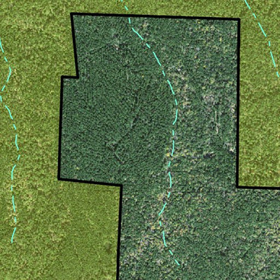 Individal Compartment Map of the Davy Crockett National Forest v45 Preview 3