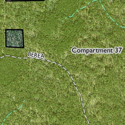 Individal Compartment Map of the Davy Crockett National Forest v52 Preview 2