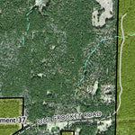 Individal Compartment Map of the Davy Crockett National Forest v52 Preview 3