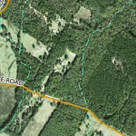 Individal Compartment Map of the Davy Crockett National Forest v64 Preview 2