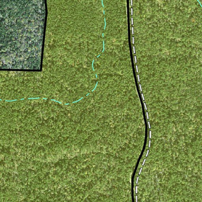 Individal Compartment Map of the Davy Crockett National Forest v68 Preview 3
