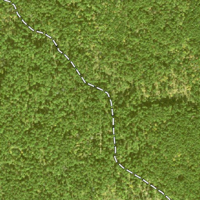 Individal Compartment Map of the Davy Crockett National Forest v48 Preview 2