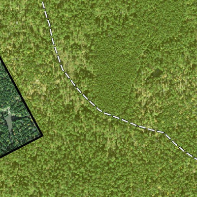 Individal Compartment Map of the Davy Crockett National Forest v48 Preview 3