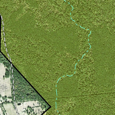 Individal Compartment Map of the Davy Crockett National Forest v102 Preview 2