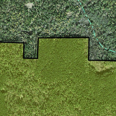 Individal Compartment Map of the Davy Crockett National Forest v66 Preview 2