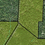 Individal Compartment Map of the Davy Crockett National Forest v66 Preview 3