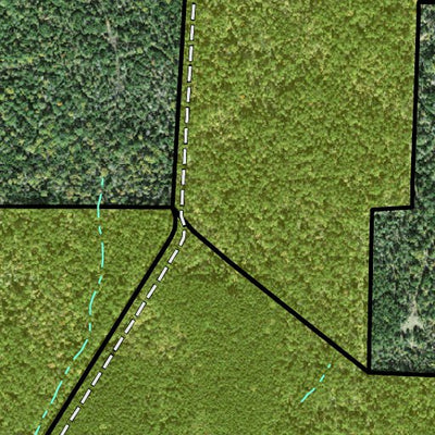 Individal Compartment Map of the Davy Crockett National Forest v66 Preview 3