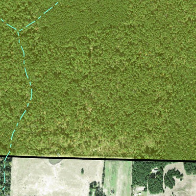 Individal Compartment Map of the Davy Crockett National Forest v56 Preview 2
