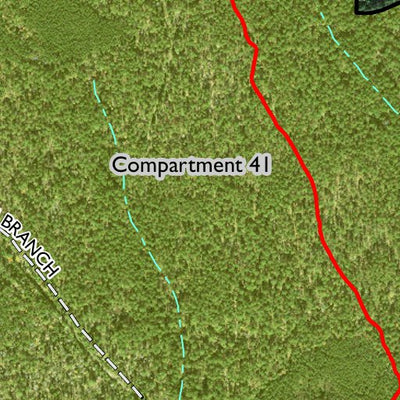Individal Compartment Map of the Davy Crockett National Forest v56 Preview 3