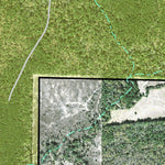 Individal Compartment Map of the Davy Crockett National Forest v86 Preview 2