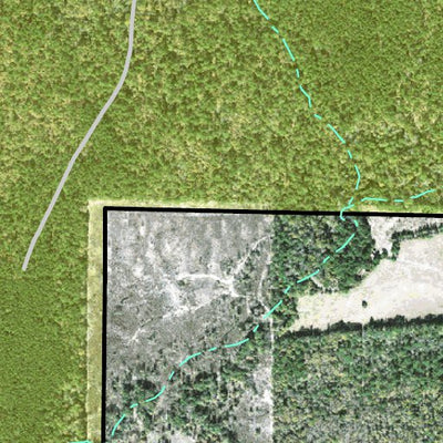 Individal Compartment Map of the Davy Crockett National Forest v86 Preview 2