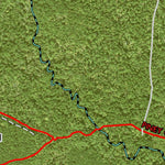 Individal Compartment Map of the Davy Crockett National Forest v89 Preview 2