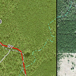 Individal Compartment Map of the Davy Crockett National Forest v89 Preview 3