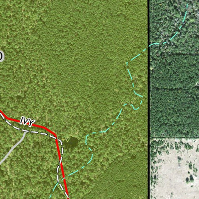 Individal Compartment Map of the Davy Crockett National Forest v89 Preview 3