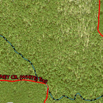 Individal Compartment Map of the Davy Crockett National Forest v84 Preview 2