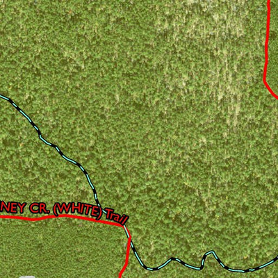 Individal Compartment Map of the Davy Crockett National Forest v84 Preview 2
