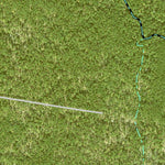Individal Compartment Map of the Davy Crockett National Forest v84 Preview 3
