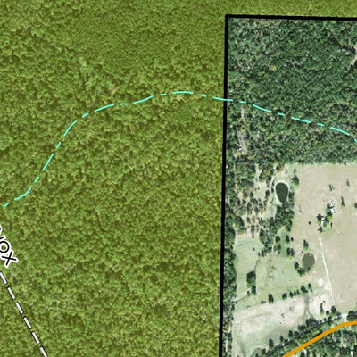 Individal Compartment Map of the Davy Crockett National Forest v92 Preview 2