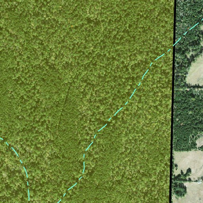 Individal Compartment Map of the Davy Crockett National Forest v92 Preview 3